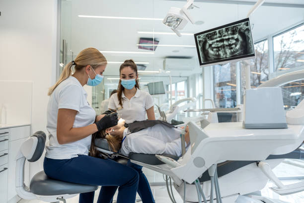 Best Dental Exams and Cleanings  in Alamo, TN